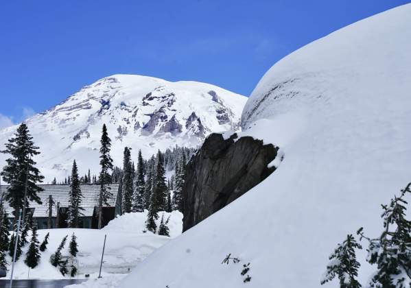 spring snow mount rainier