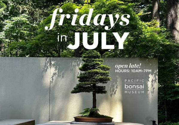 Fridays in July: Open Late at Pacific Bonsai Museum