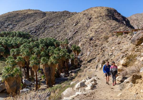 Couple hiking in Palm Canyon