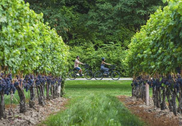 5 Reasons To Wake Up To Niagara-on-the-Lake's Bed and Breakfast Scene