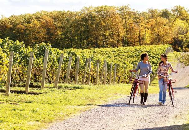 A Cyclist’s Wine Guide to the Niagara Region