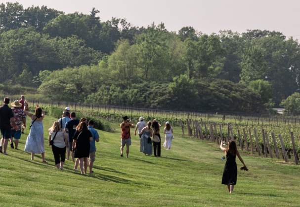 Niagara's Top Festivals and Events for Wine & Food Lovers