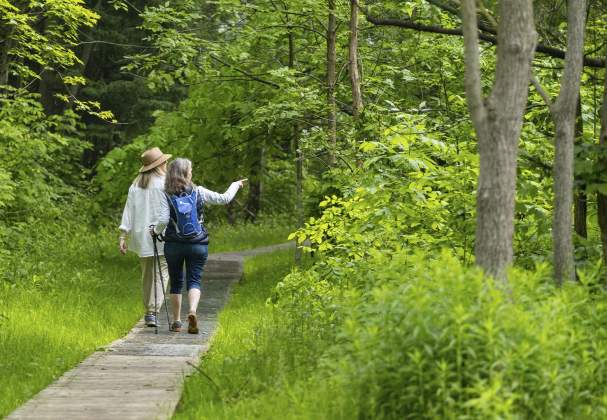 The Best Bruce Trail Hikes For Wine Lovers