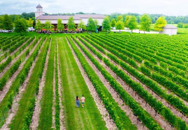 Meet The Niagara-on-the-Lake Tastemakers