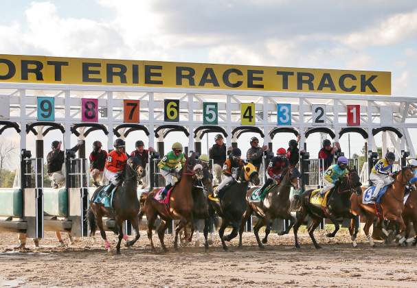 Off To The Races