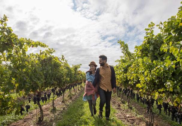 Niagara Wine Country: No Repeats