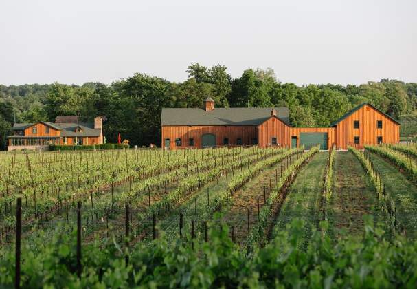 Hidden Bench Vineyards and Winery