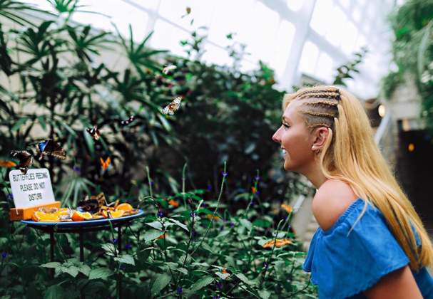 Butterfly Conservatory