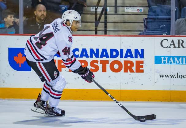 Niagara IceDogs