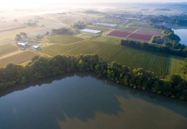 Harbour Estates Winery
