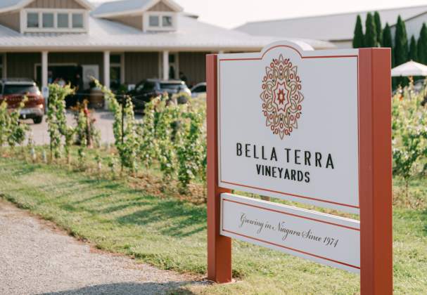 Bella Terra Vineyards
