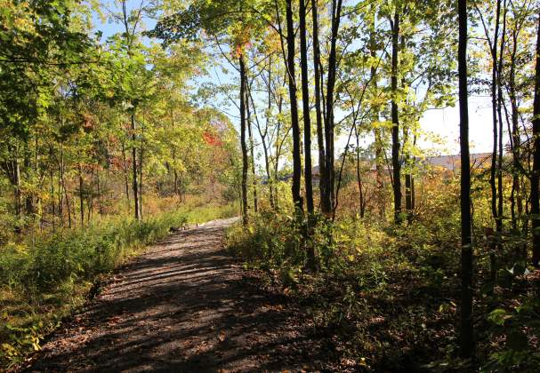 Heartland Forest