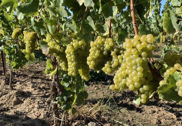 Stonebridge Winery