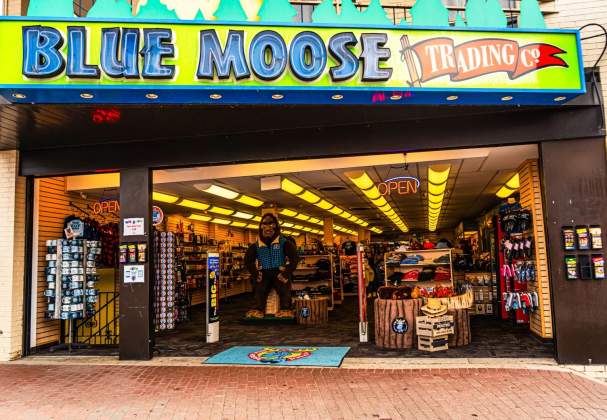 Blue Moose Toy Store