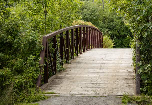 Stevensville Conservation Area