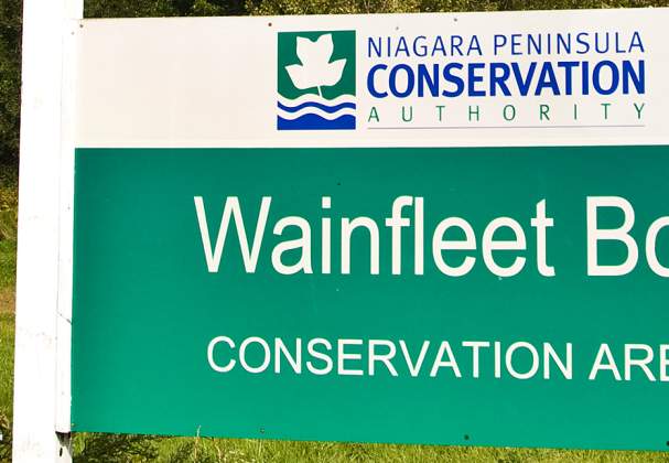 Wainfleet Bog