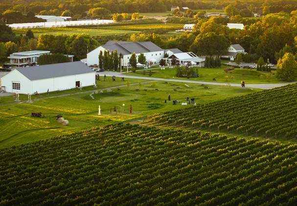 13th Street Winery