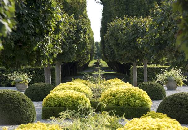 Botanical Gardens
