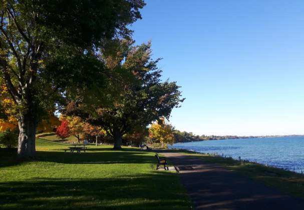 Charles Daley Park