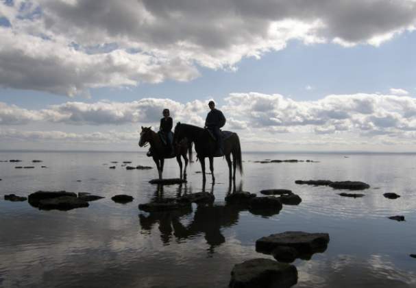 HorsePlay Niagara