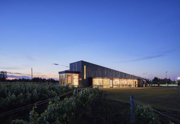 Lakeview Wine Co.