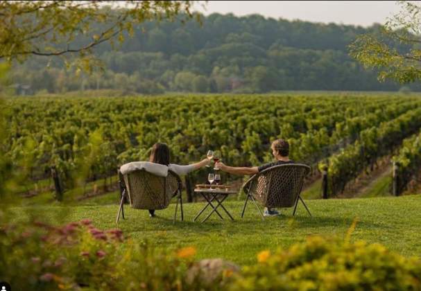 Niagara Benchlands Wineries