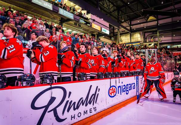 Niagara IceDogs