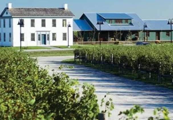 Ravine Vineyard Estate Winery