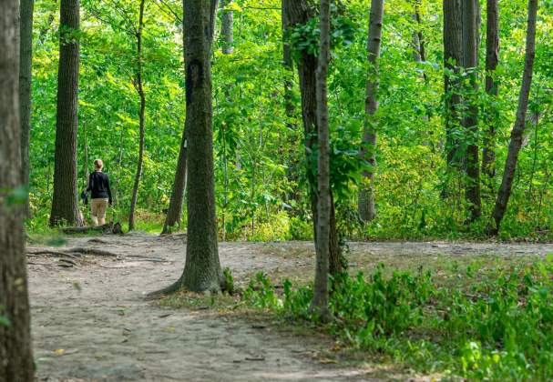 Woodend Conservation Area