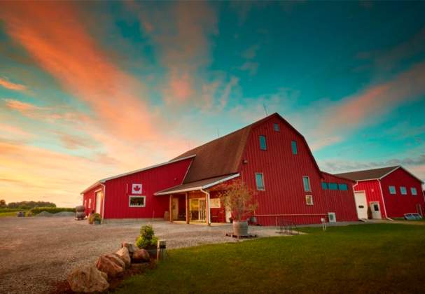 Between the Lines Winery