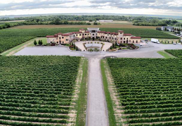 Colaneri Estate Winery