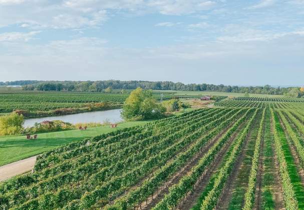 Crush on Niagara Wine Tours