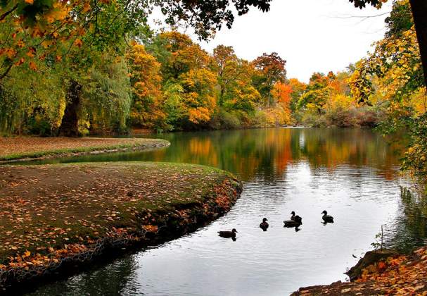 Dufferin Islands