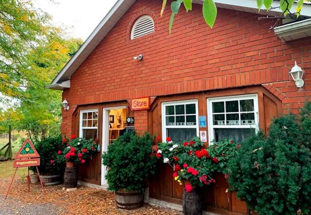 Frogpond Farm Organic Winery