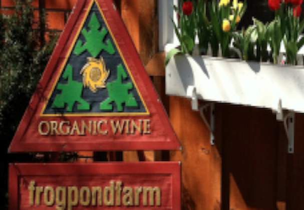 Frogpond Farm