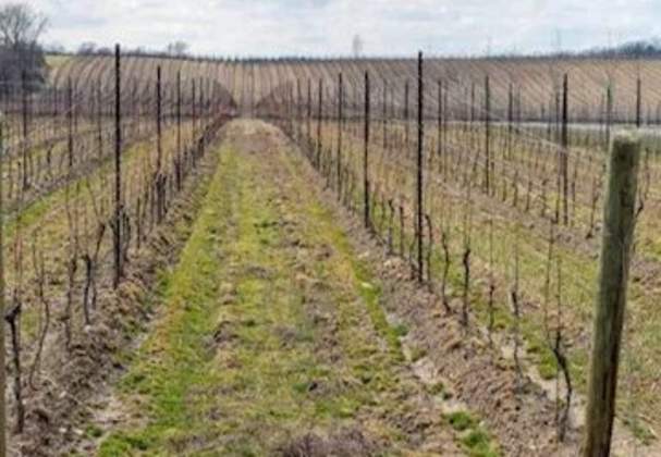 GreenLane Estate Winery