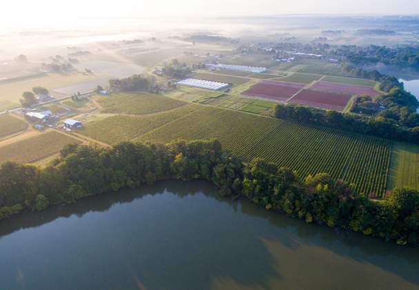 Harbour Estates Winery