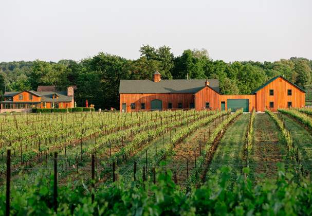 Hidden Bench Estate Winery