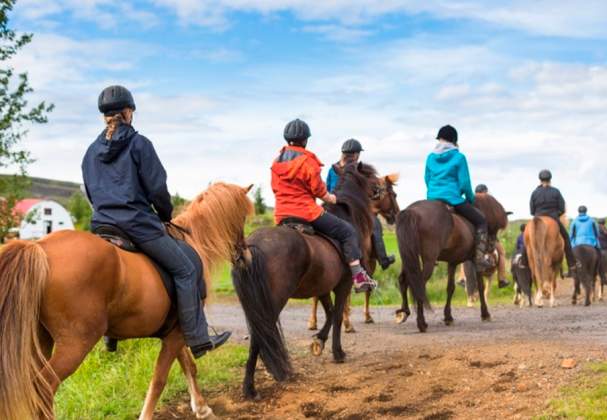 HorsePlay Niagara
