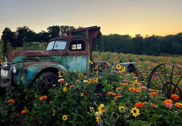 Howells Adventure Farm