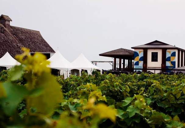 Inniskillin Wines