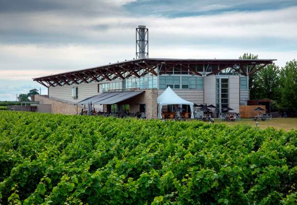 Jackson-Triggs Niagara Estate Winery
