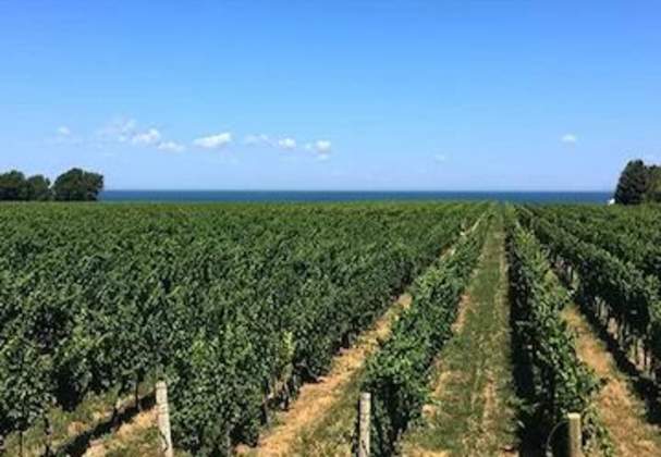 Konzelmann Estate Winery