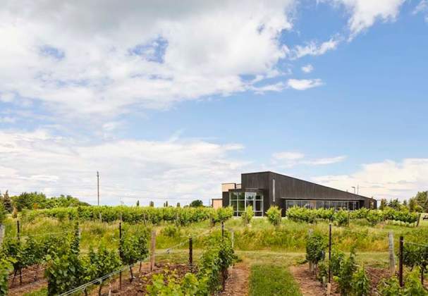Lakeview Wine Co.