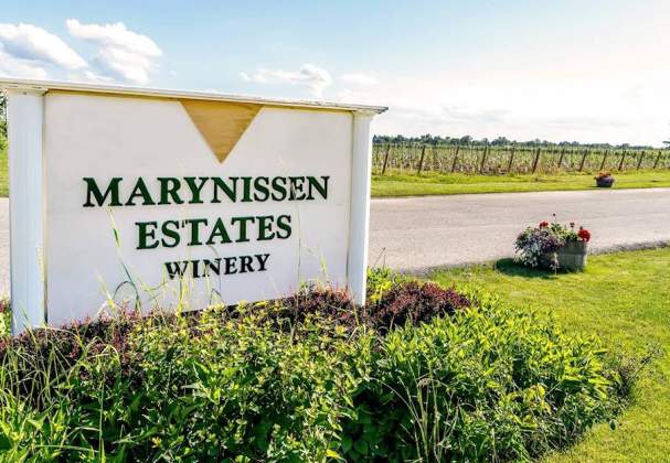 Marynissen Estates Winery