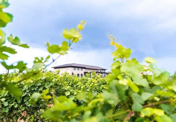 Megalomaniac Winery John Howard Cellars of Distinction