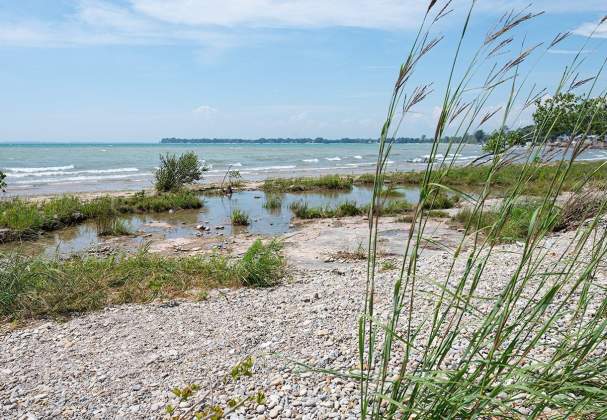 Morgan’s Point Conservation Area