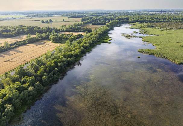 Mud Lake Conservation Area