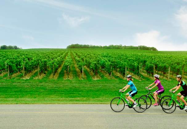 Regional Cycling Road Routes