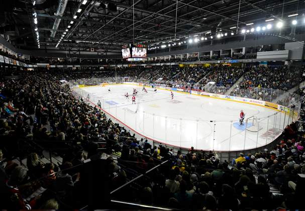 Niagara IceDogs